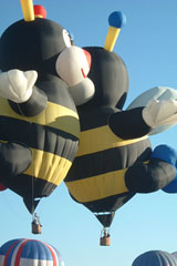 Albuquerque balloon festival 17