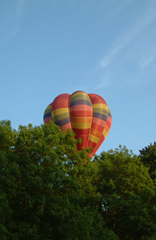 Over the trees